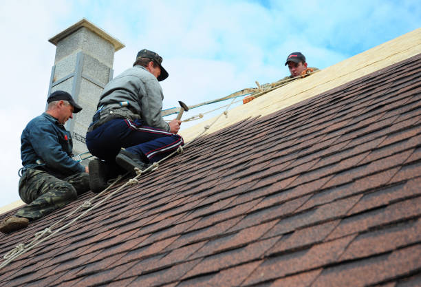 Best Flat Roof Repair Services  in North Fork, CA