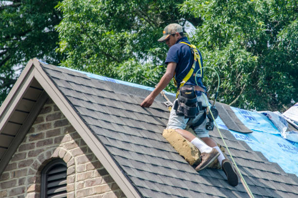 Best Roof Gutter Cleaning  in North Fork, CA