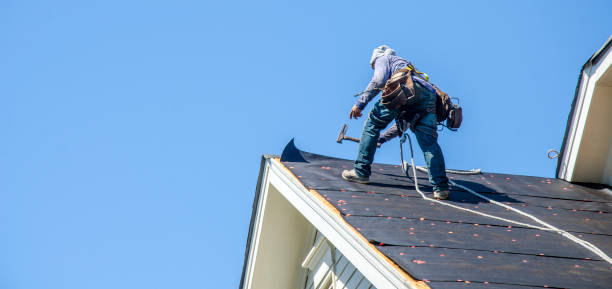 Roof Gutter Cleaning in North Fork, CA